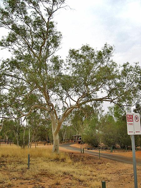 A 279 Alice Springs - Parc de la Station telegraphique.jpg